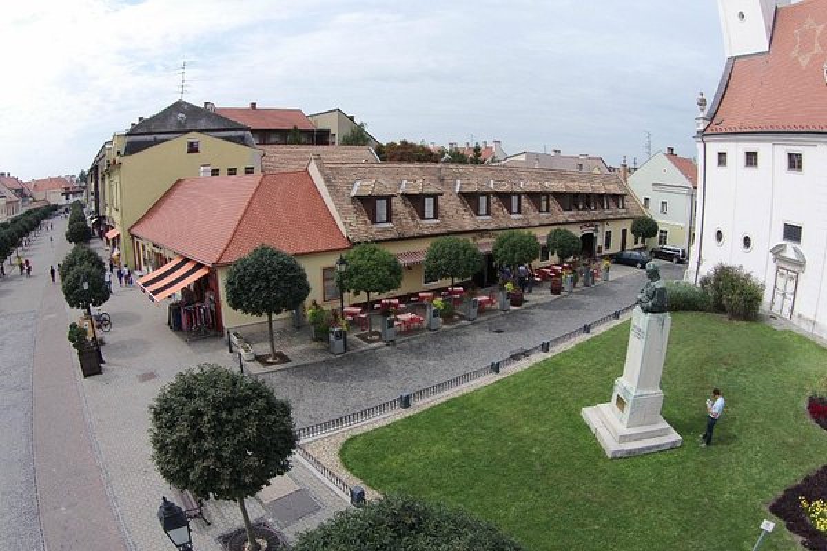 Dental clinics in Mosonmagyarovar, Hungary