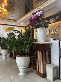 MAULUX DENTAL - Nha Khoa Quốc Tế Uy Tín Hà Nội, Niềng Răng, Implant, Tẩy Trắng Răng, Răng Sứ Bảo Hành Trọn Đời