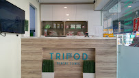 Dental Trip