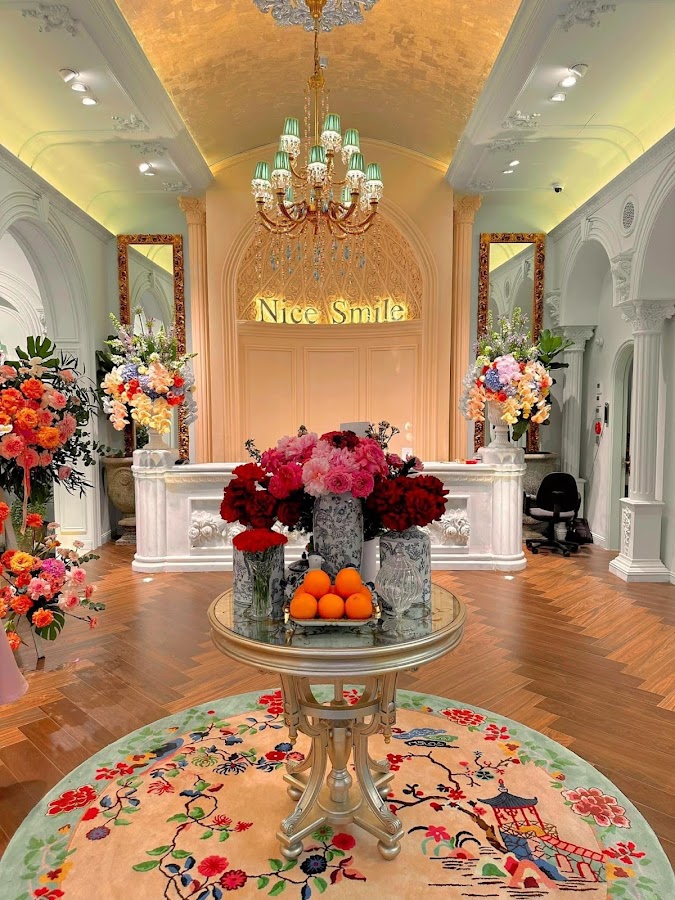 Nice Smile Dental Aesthetics Clinic dental clinic