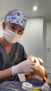 VINDENTIST