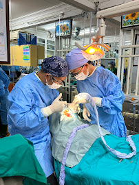 Dong Tay Hoi Ngo Dental Clinic