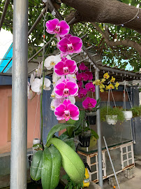 Phòng Răng Hải Thủy