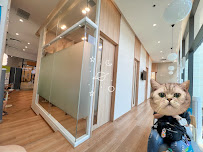 Dr.punjun dental clinic คลินิกทันตกรรมหมอปั้นจั่น จัดฟัน ทำฟัน วีเนียร์ รากเทียม BTS พหลโยธิน 24-ตึก Ratchayothin hill
