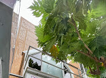 Bannmormey Dental Clinic in Bangkok