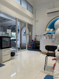 คลินิกทันตกรรมอัลปาก้า(นนทบุรี) จัดฟัน ทำฟัน เด็ก-ผู้ใหญ่ Alpaca Dental Clinic (Nonthaburi)