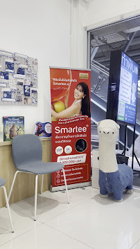 คลินิกทันตกรรมอัลปาก้า(นนทบุรี) จัดฟัน ทำฟัน เด็ก-ผู้ใหญ่ Alpaca Dental Clinic (Nonthaburi)