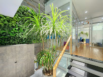 Dr. Bao Dental Clinic Da Nang