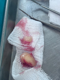 Smile Focus Dental Clinic