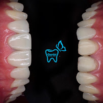 Gemini Dental Care