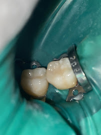 Dental Clinic - Dental care