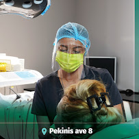 Optimus Dental Studio