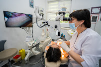 Dental Academy