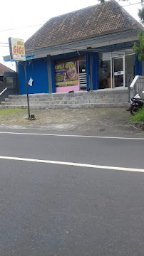 Andin gigi