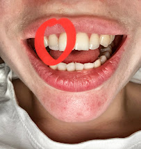 სითიდენტალი Citydental