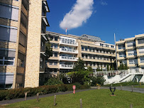 Drg.Ben