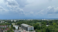 Drg.Ben