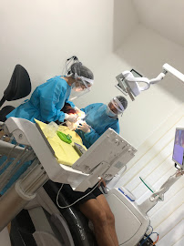 DENTALIFE | Dental Care