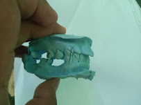 Praktek Dokter Gigi Nugroho A.S.