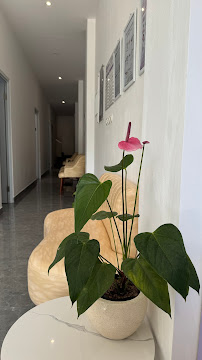 Klinik Gigi Joy Dental Kuta Bali