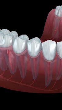 Expert Dental Care
