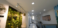 Queen Dental