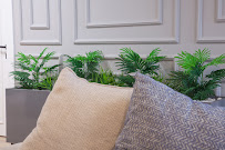 HCT Dental Clinic Antalya