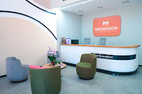 Snowdrop Premium Dental Clinic
