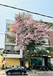 Evershine Dental Clinic, Kasturi Nagar