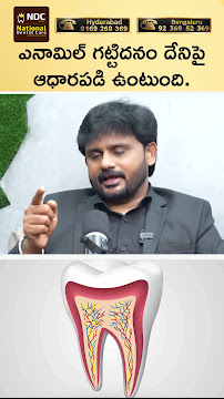 National Dental Care