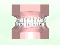 The Dental Lounge