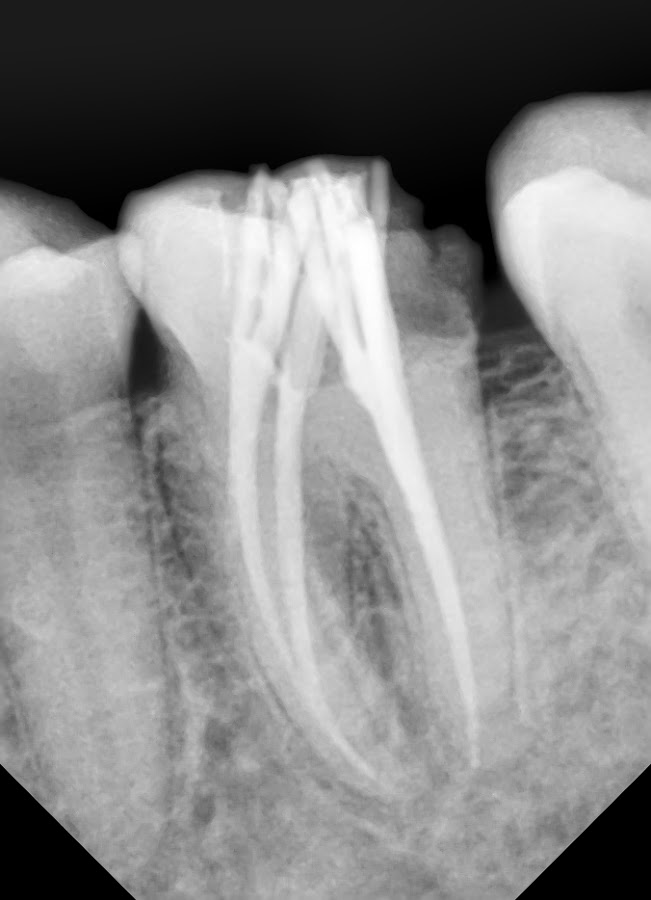 Smile M'Brace Complete Dental Care dental clinic in Mumbai