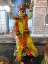 DR. ROOSHAY TRIVEDI