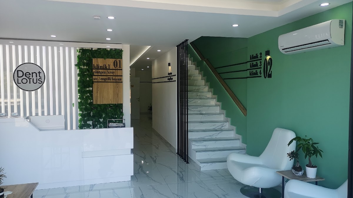 Dentalotus International Clinic dental clinic