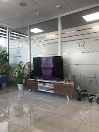 Özel DentaPoint Diş Polikliniği Karşıyaka Şubesi Zirkonyum , Diş İmplantı , Estetik Diş Tedavileri , Ortodonti