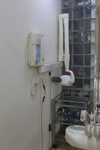 The Dental Arch
