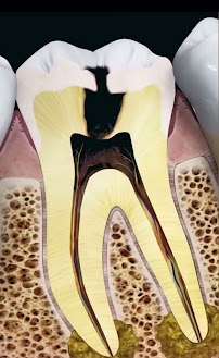 Dr. Nikita Patel's Dental Clinic