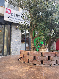 Dent Atelier Ağız ve Diş Sağlığı Polikliniği