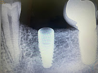 Dental Diaries
