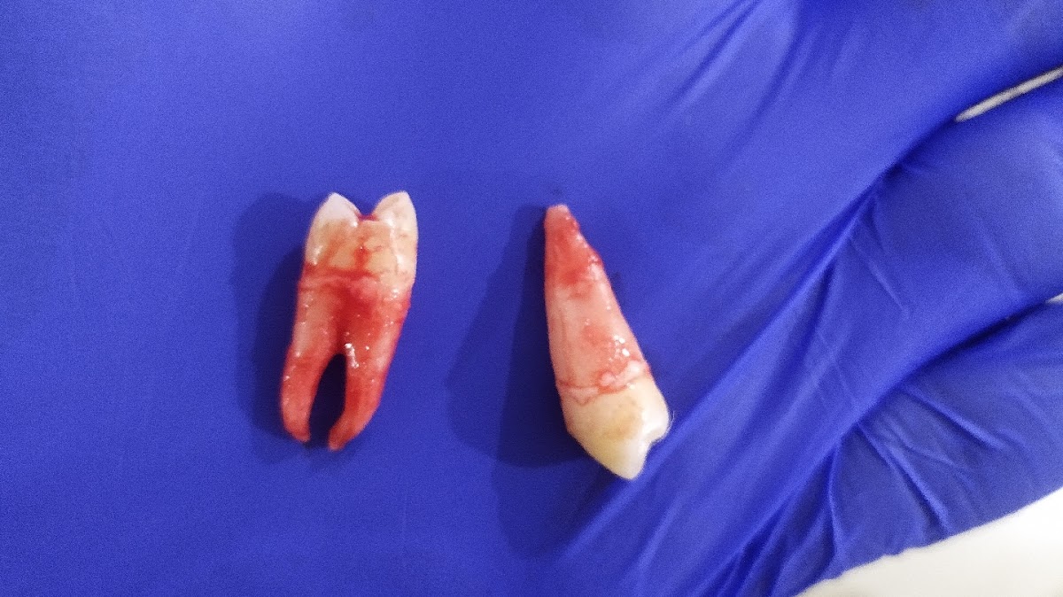 Forttiz Dental Clinic dental clinic in Mumbai