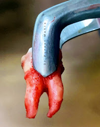 Forttiz Dental Clinic