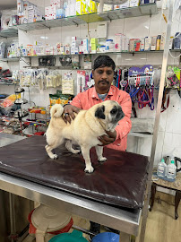 Saket Pet Clinic