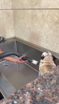 Saket Pet Clinic