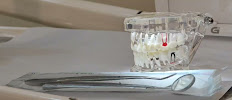 BLR SMILES - Best Dental Clinic in Indiranagar | Braces, Aligners & Root Canal Specialists