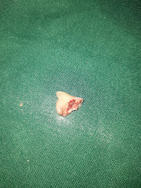 Annai Dental Clinic