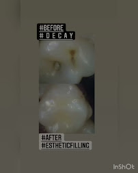 Berry's Dental Zone