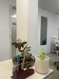 Tara's Dental and Aesthetic center