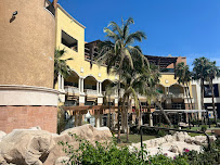 Paradise Dental Los Cabos