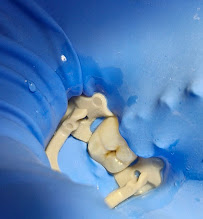 Dr. Gabriela Perez Jacobo - Digital Imaging Dentistry