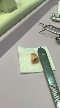 Consultorio Dental Dra. Mariana Garduño